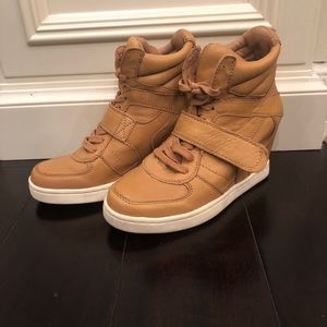 ASH Hightop Sneaker Leather Wedges